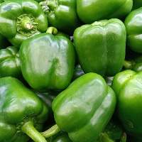 Premium Quality Fresh Capsicum (Bell Pepper)