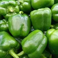Premium Quality Fresh Capsicum (Bell Pepper)