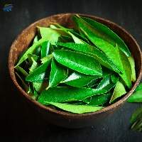 Curry Leaves