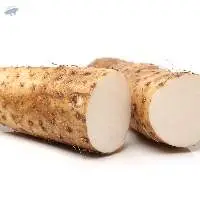Sweet Potato