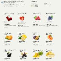Dried Fruit