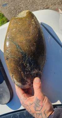 Pounamu/greenstone