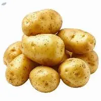 Fresh Potato | Premium Export Quality