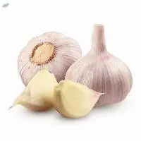 Fresh Garlic | Premium Indian Garlic