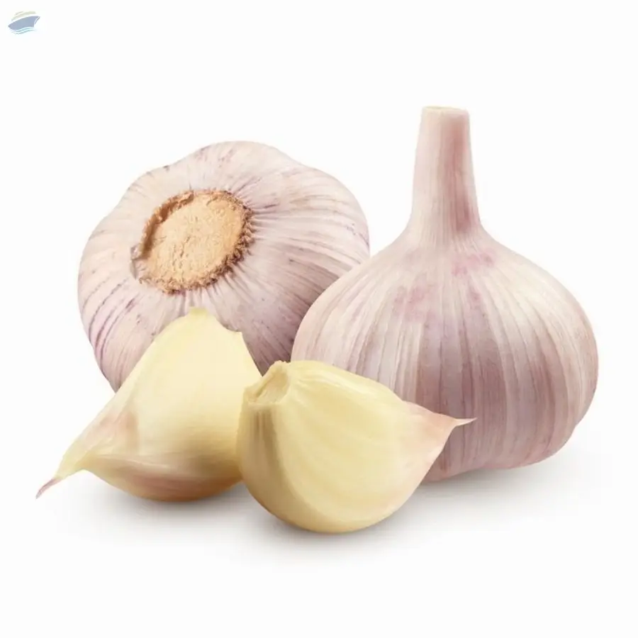 Fresh Garlic | Premium Indian Garlic