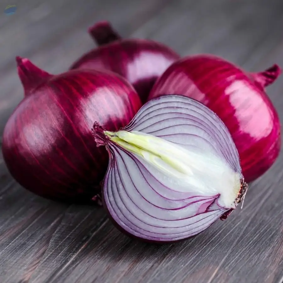 Fresh Red Onion | Premium Indian Onion