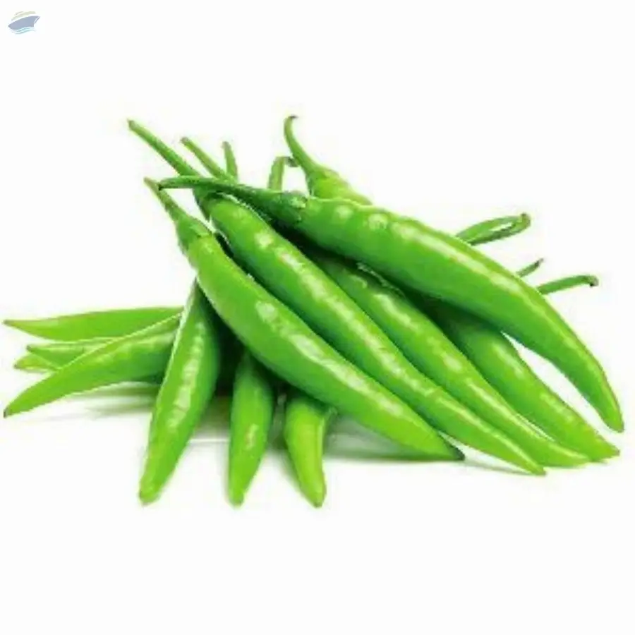 Fresh Green Chilli | Premium Indian Green Chilli