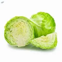 Fresh Green Cabbage | Premium Indian Cabbage