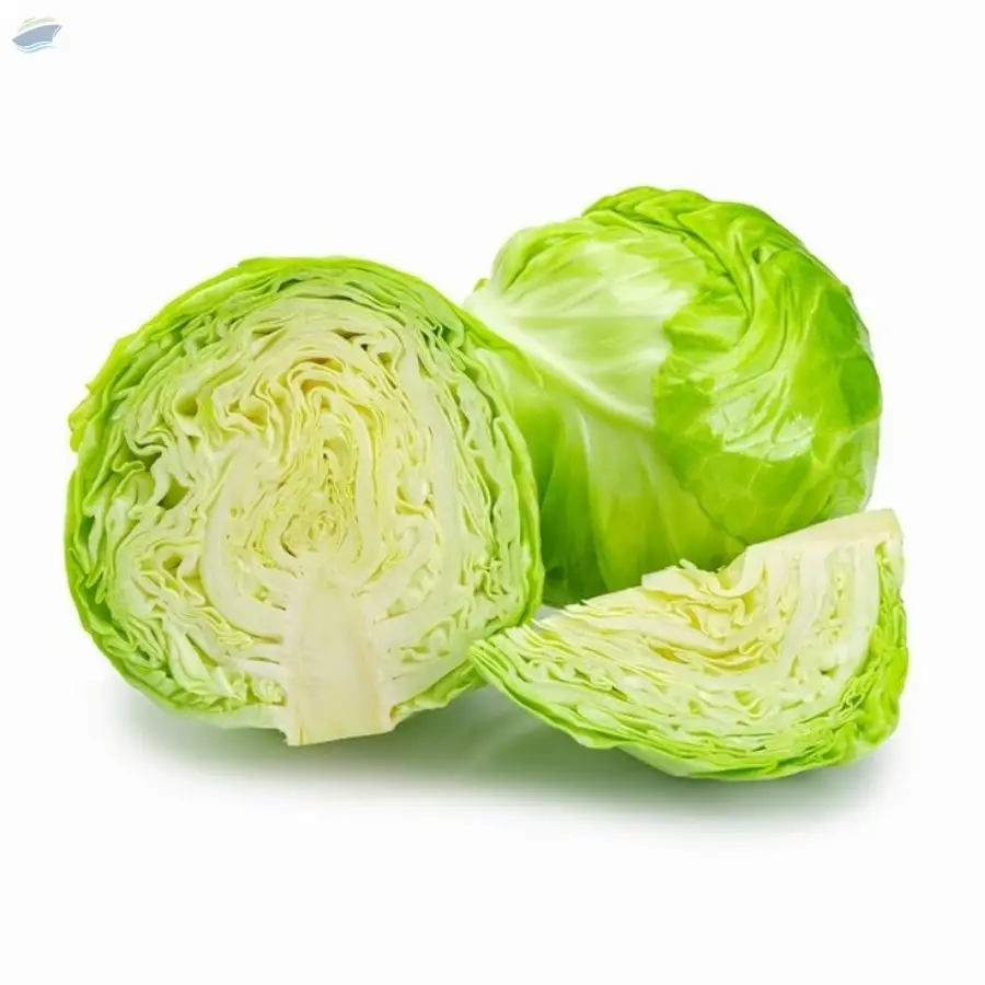 Fresh Green Cabbage | Premium Indian Cabbage