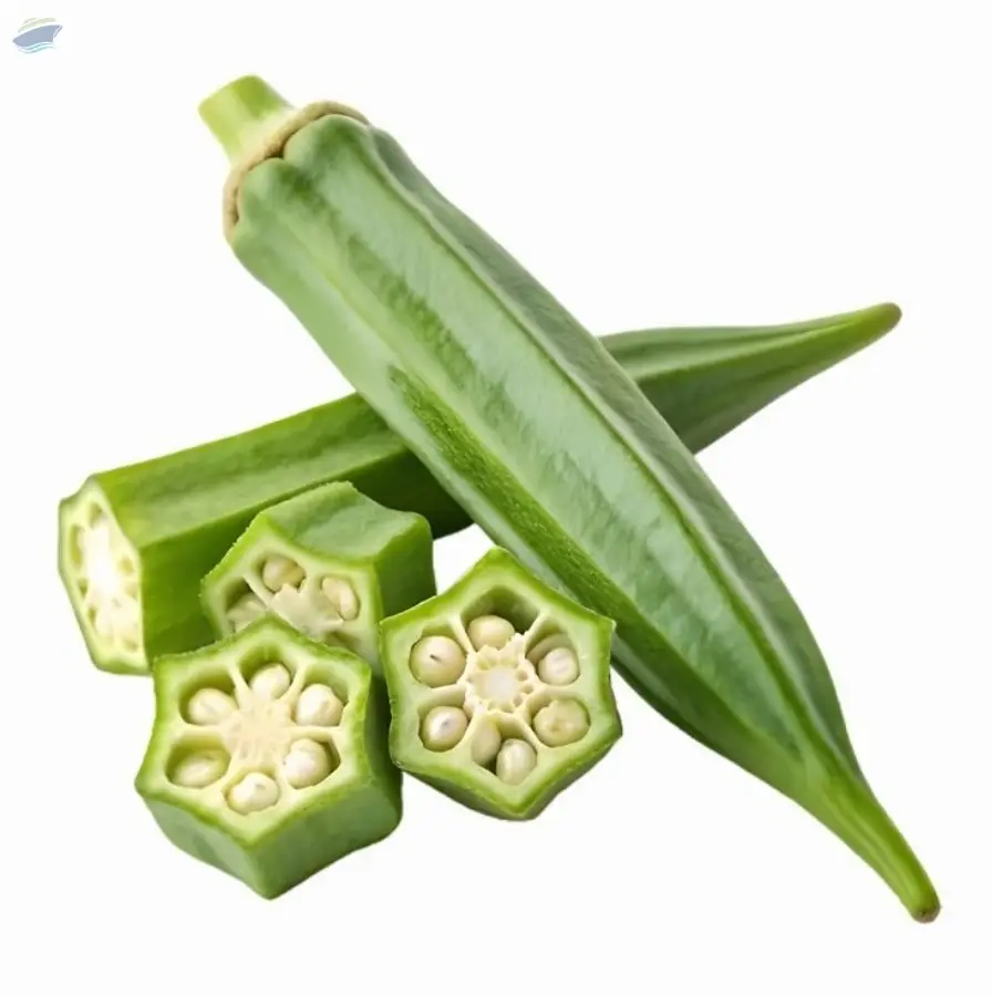 Fresh Okra (Lady Finger) | Premium Indian Okra