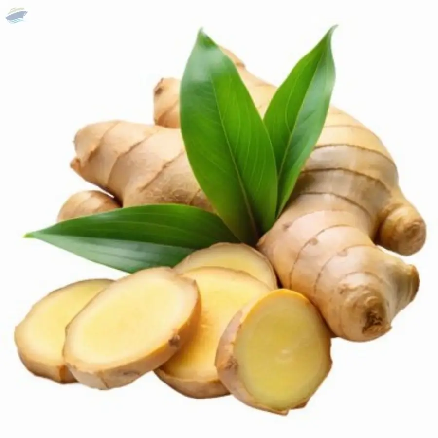 Fresh Ginger | Premium Indian Ginger