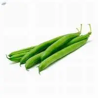 French Beans (Green Beans) | Indian Beans