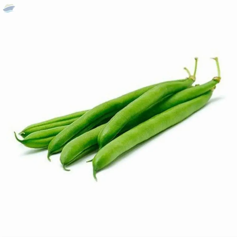 French Beans (Green Beans) | Indian Beans