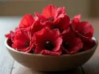 Hibiscus Supplier - Dried Roselle Flowers