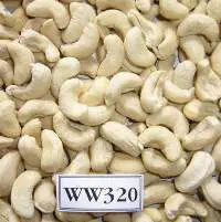 Cashew Nuts Supplier - W240 W320 & Raw RCN