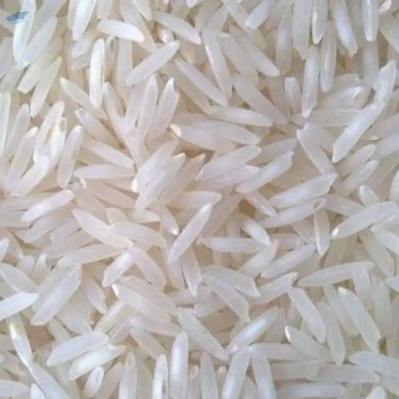 1509 Raw Basmati Rice