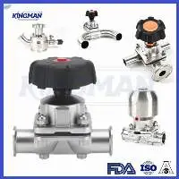Sanitary Valves