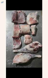 Frozen Lamb Meat (Whole Carcass)