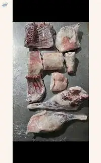 Frozen Lamb Meat (Whole Carcass)