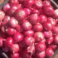 Premium Grade Red Onions