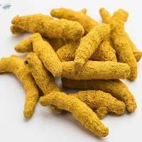 Premium Quality Indian Turmeric Finger