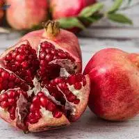 Premium Fresh Indian Pomegranate Export Quality