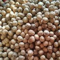 Premium Quality Kashmiri Walnuts Export Grade 