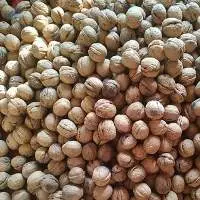 Kashmiri Walnut