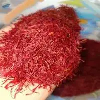 Premium Grade Kashmiri Saffron Export Quality