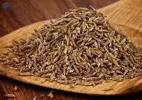 Premium Quality Indian Cumin Seeds