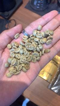Raw Coffee Beans
