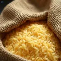 Popular Parboiled (Boiled) Ponni Rice