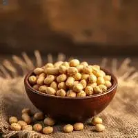 Premium Unshelled Raw Groundnuts (With Shell)