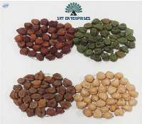 Chickpea Varieties