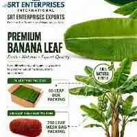 First Quality Banana Leaf For Export