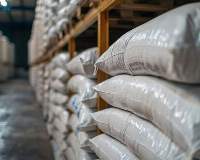 Clean, Sorted White Rice Standard Export Grade