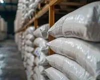 Clean, Sorted White Rice Standard Export Grade