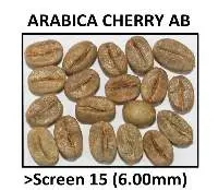 Coffee Bean