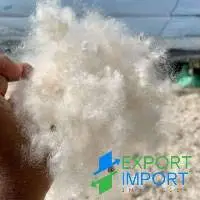 Kapok Fiber