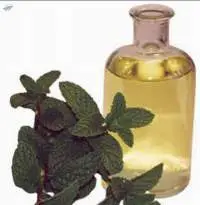 Peppermint Oil