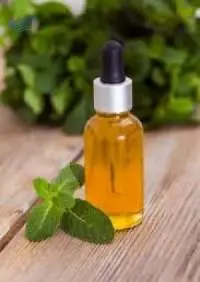Grade A Mentha Piperita (Peppermint Oil) 