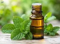 Premium Natural Spearmint Essential Oil