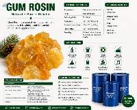 Gum Rosin WW