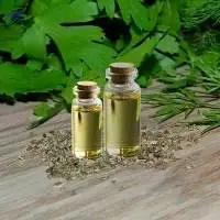 Parsley Seed Oil