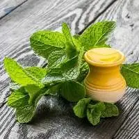 Spearmint Oil