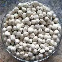 Premium Quality Moringa Seeds Kernel