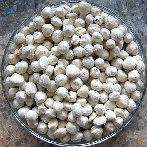 Premium Quality Moringa Seeds Kernel