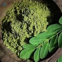 Premium Quality Moringa Leaves Powder