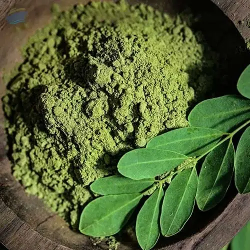 Premium Quality Moringa Leaves Powder