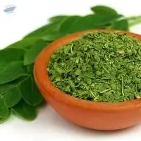 Premium Quality Moringa Leaves Tea Cut